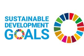 novis SDGs宣言